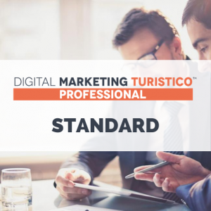 DMT Professional (Standard)
